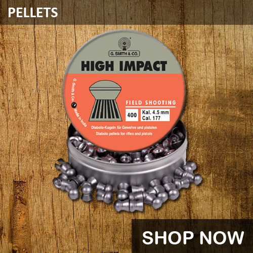 Airgun pellets price